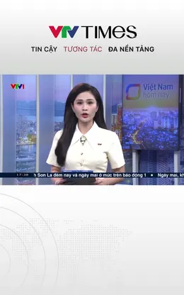 Đà Nẵng ghi nhận cá thể voi con tại khu bảo tồn voi