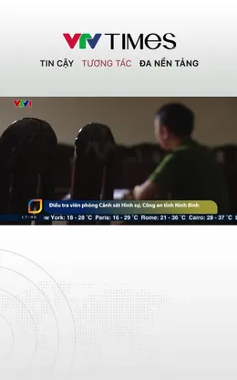 Mô hình công ty trong đường dây đẻ thuê xuyên quốc gia