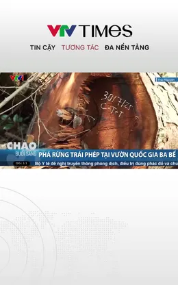 Phá rừng trái phép tại vườn quốc gia Ba Bể