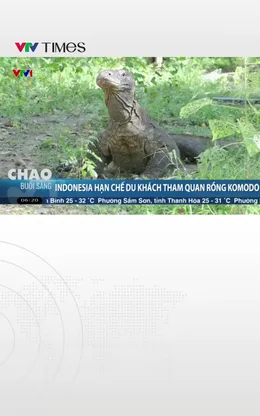 Indonesia hạn chế du khách tham quan rồng Komodo 