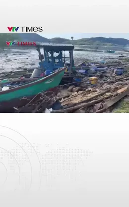 Đắk Lắk: Tan hoang vùng nuôi thủy sản, tôm hùm tại miền Trung sau bão số 13