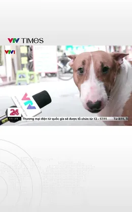 Cơn sốt mang tên “Tiệm phở của anh Hai” 