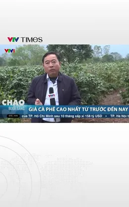 Nông dân Quảng Trị phấn khởi vì giá cà phê cao nhất từ trước đến nay 