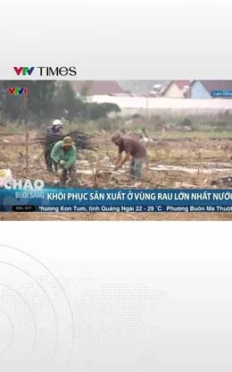 Bài toán khó để khôi phục sản xuất ở vùng rau lớn nhất cả nước