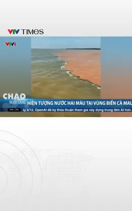 Hiện tượng hai màu nước kỳ lạ xuất hiện trên vùng biển Cà Mau