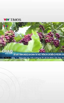 Đề xuất trình UNESCO ghi danh “Tri thức trồng và chế biến cà phê Đắk Lắk”