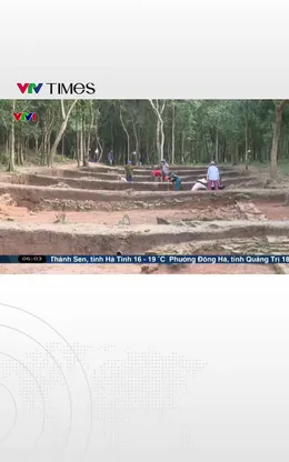 Đà Nẵng: Cận cảnh "con đường thiêng" vừa phát lộ tại Thánh địa Mỹ Sơn