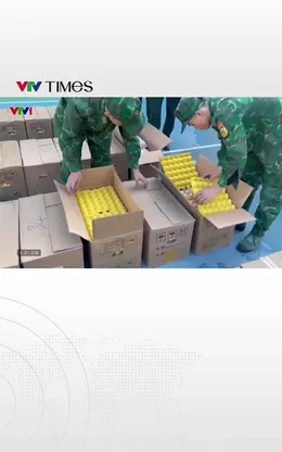 Bắt giữ đối tượng nhập lậu hơn 34.000 quả trứng gà