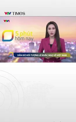 Dẫn độ đối tượng Lê Khắc Ngọ về Việt Nam 