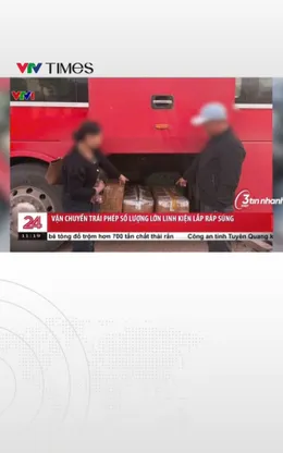 Vận chuyển trái phép số lượng lớn linh kiện lắp ráp súng 