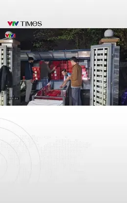 Thu giữ gần 1 tấn rắn hổ mang 