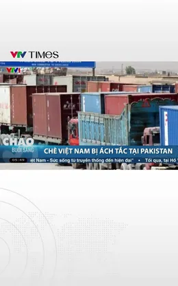 Hơn 400 container chè Việt Nam đang bị ách tắc tại cảng Pakistan