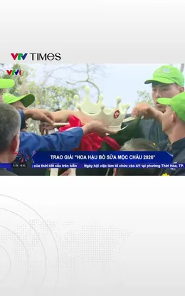 Độc lạ “Hoa hậu bò sữa Mộc Châu 2026” 