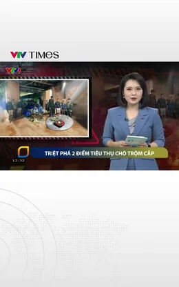 Triệt phá 2 điểm tiêu thụ chó trộm cắp