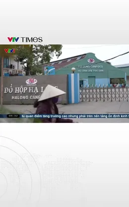 Nhiều siêu thị dừng bán đồ hộp Hạ Long