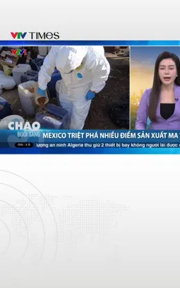 Mexico triệt phá nhiều điểm sản xuất ma túy