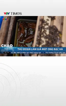 Thủ đoạn làm giả mật ong bạc hà