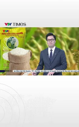 Gạo ST25 tiếp tục là “Gạo ngon nhất thế giới”