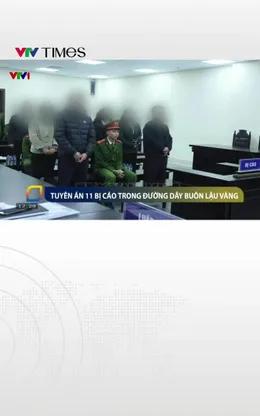 Tuyên án 11 bị cáo buôn lậu gần 550kg vàng từ Trung Quốc về Việt Nam