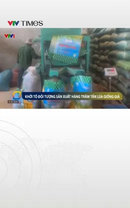 Khởi tố đối tượng sản xuất hàng trăm tấn lúa giống giả bán ra nhiều tỉnh thành