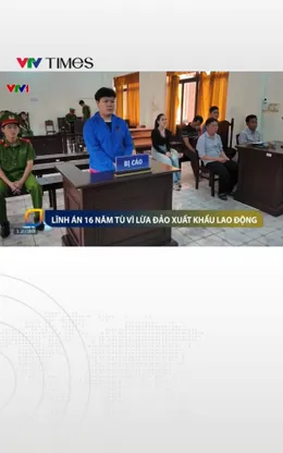 Lừa xuất khẩu lao động sang nước ngoài, người phụ nữ lĩnh 16 năm tù