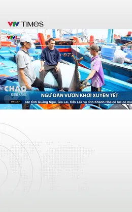 Ngư dân Gia Lai vươn khơi xuyên Tết