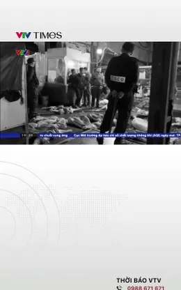 Khởi tố bị can vụ đường dây giết mổ, tiêu thụ gần 300 tấn heo bệnh vào trường học 