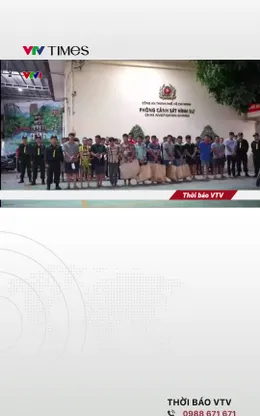 Tóm gọn trường đá gà tiền tỷ trong rừng, hé lộ chiếc cân gian lận