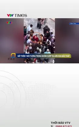 Bắt thêm 7 người trong băng nhóm dàn cảnh cướp giật tại Liên Hoa Bảo Tháp