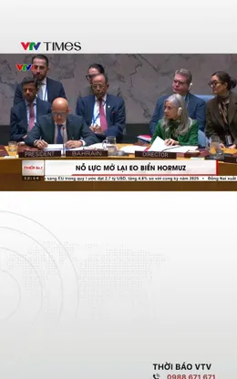 Hội đồng Bảo an Liên hợp quốc bất đồng về nghị quyết cho phép dùng vũ lực bảo vệ eo biển Hormuz
