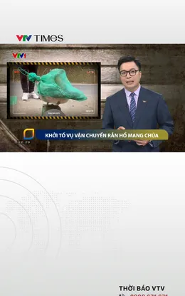 Khởi tố vụ án vận chuyển rắn hổ mang chúa trái phép ở Thái Nguyên