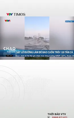 Sạt lở đường làm đê bao cuốn trôi 120 tấn cá