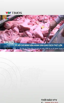 TP. Hồ Chí Minh vận hành sàn giao dịch thịt lợn