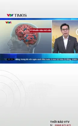 Bộ Y tế yêu cầu cảnh giác với viêm não mô cầu