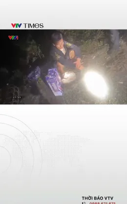 Quảng Ninh bắt vụ vận chuyển hơn 184 bình khí cười trái phép