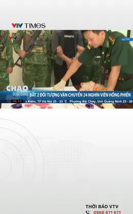 Bắt 2 đối tượng vận chuyển 24 nghìn viên hồng phiến