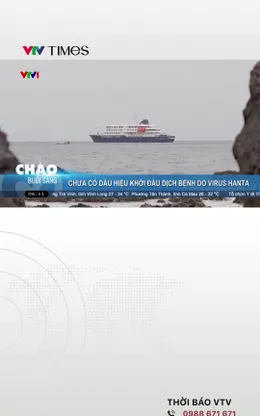 WHO: Chưa có dấu hiệu bùng phát dịch bệnh do virus Hanta