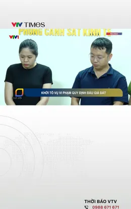Khởi tố 2 đối tượng lập hồ sơ khống, dàn xếp kết quả đấu giá 14 lô đất ở Ninh Bình
