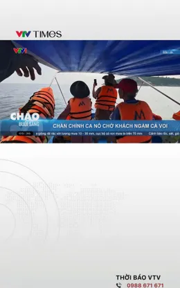 Chấn chỉnh ca nô chở khách ngắm cá voi