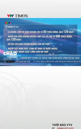  4 nhóm đối tượng có thể bị tạm hoãn xuất cảnh do nợ thuế