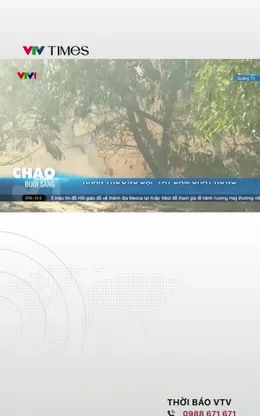 Quảng Trị: Khẩn trương dập tắt cháy rừng tại giáp ranh hai xã Quảng Ninh và Ninh Châu