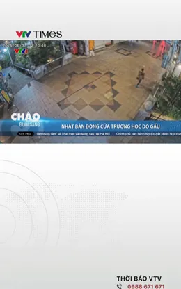 Nhật Bản đóng cửa trường học do gấu