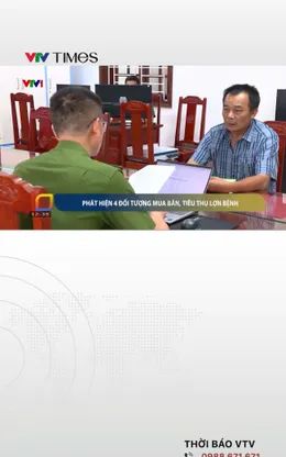 Khởi tố nhóm đối tượng mua bán, tiêu thụ lợn nhiễm dịch tả lợn châu Phi