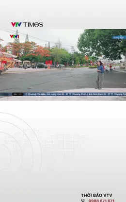 Quảng Ngãi: Bắt đầu khai quật tìm mộ liệt sĩ tập thể