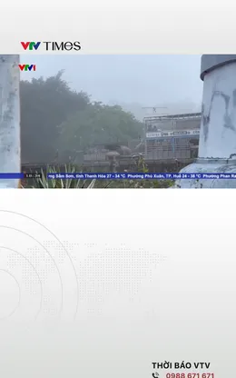 Khởi tố các đối tượng buôn bán, tiêu thụ hơn 250 tấn thịt lợn bệnh