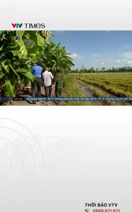 Ký ức dẫn lối cho cuộc trở về sau gần 60 năm