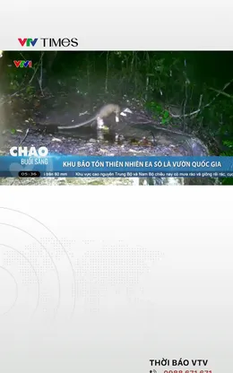 Việt Nam có thêm Vườn quốc gia thứ 37 vừa được thành lập tại tỉnh Đắk Lắk