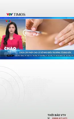 Chưa cấp phép cho cơ sở nào điều trị bằng tế bào gốc