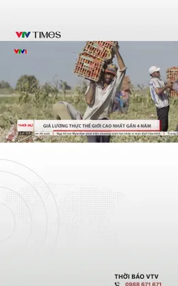 Giá lương thực thế giới lên mức cao nhất trong gần 4 năm