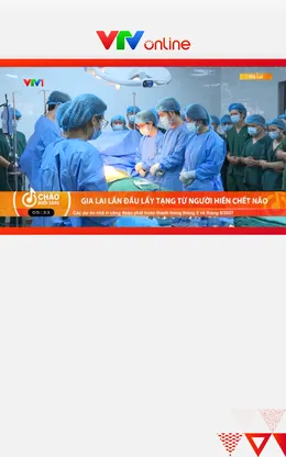 Gia Lai lần đầu lấy tạng từ người hiến chết não